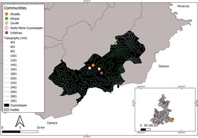 Ecological Knowledge and Management of Fauna Among the Mexicatl of the Sierra Negra, México: An Interpretive Approach